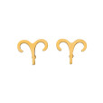 Auskarai zodiako ženklai