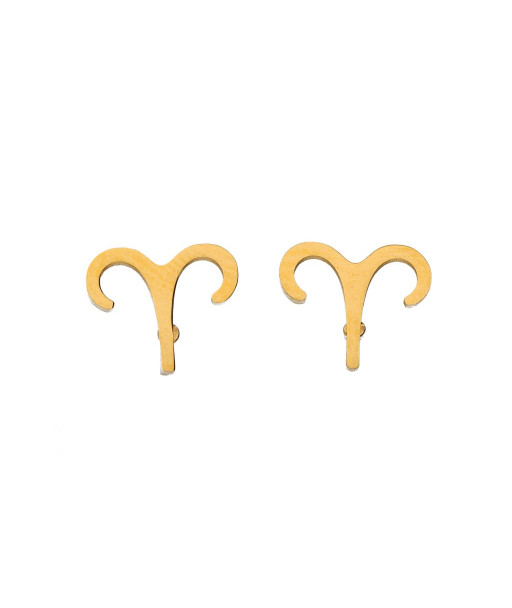 Auskarai zodiako ženklai