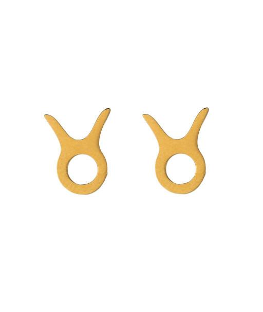 Auskarai zodiako ženklai
