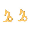 Auskarai zodiako ženklai