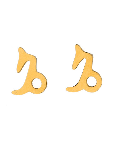 Auskarai zodiako ženklai