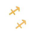 Auskarai zodiako ženklai