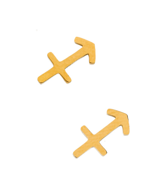Auskarai zodiako ženklai