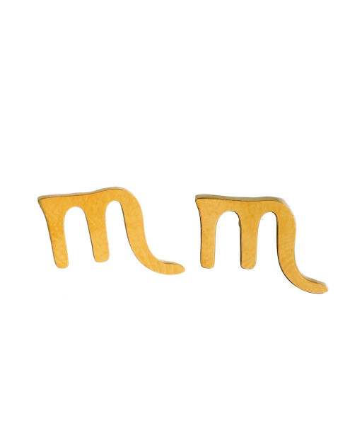 Auskarai zodiako ženklai