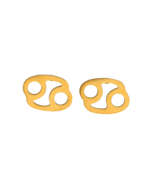 Auskarai zodiako ženklai