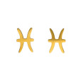 Auskarai zodiako ženklai