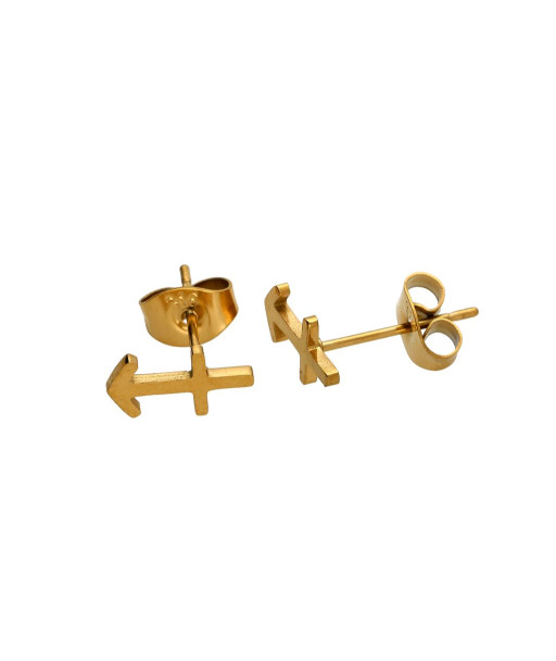 Auskarai zodiako ženklai