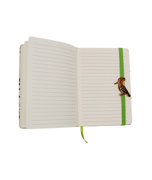 Užrašų knygutė Lietuvos paukščiai