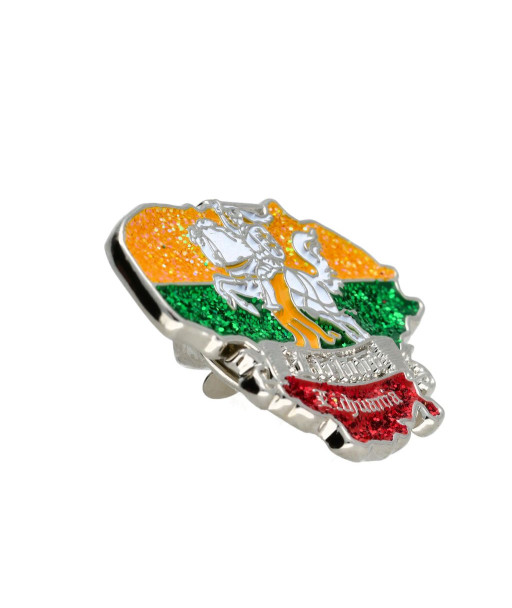 Pin Badge Vytis in the Outline of Lithuania