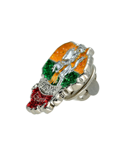 Pin Badge Vytis in the Outline of Lithuania